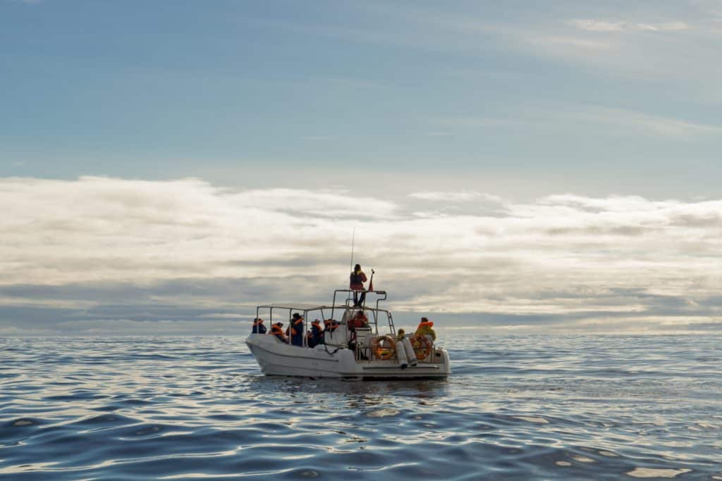 Sony A6000 Azores