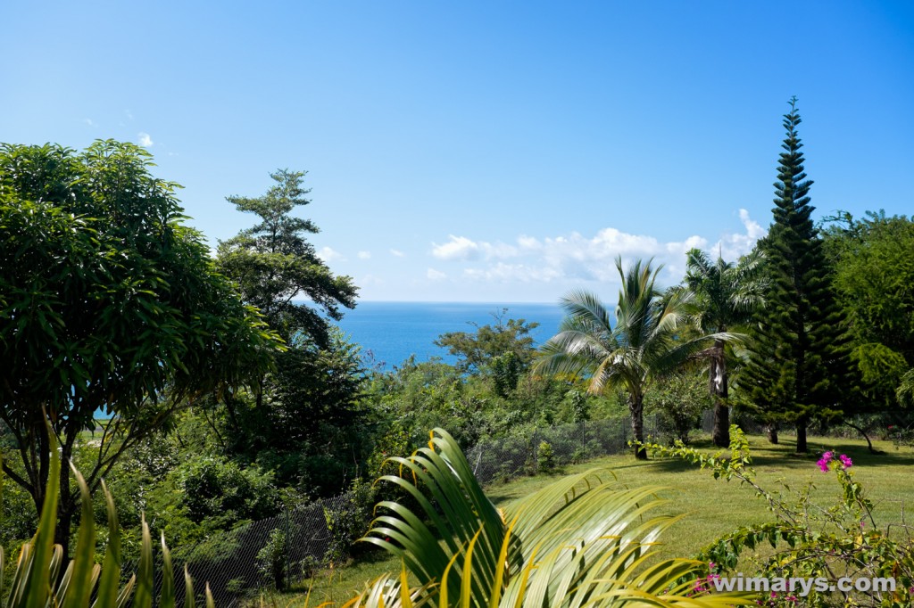 Fuji X100s in Dominica