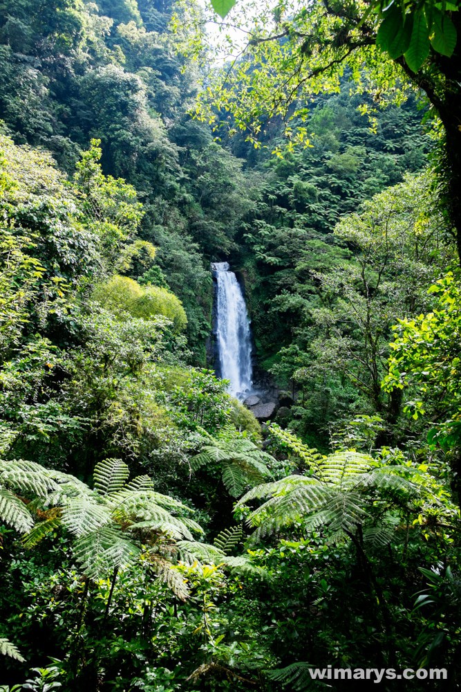 Fuji X100s in Dominica