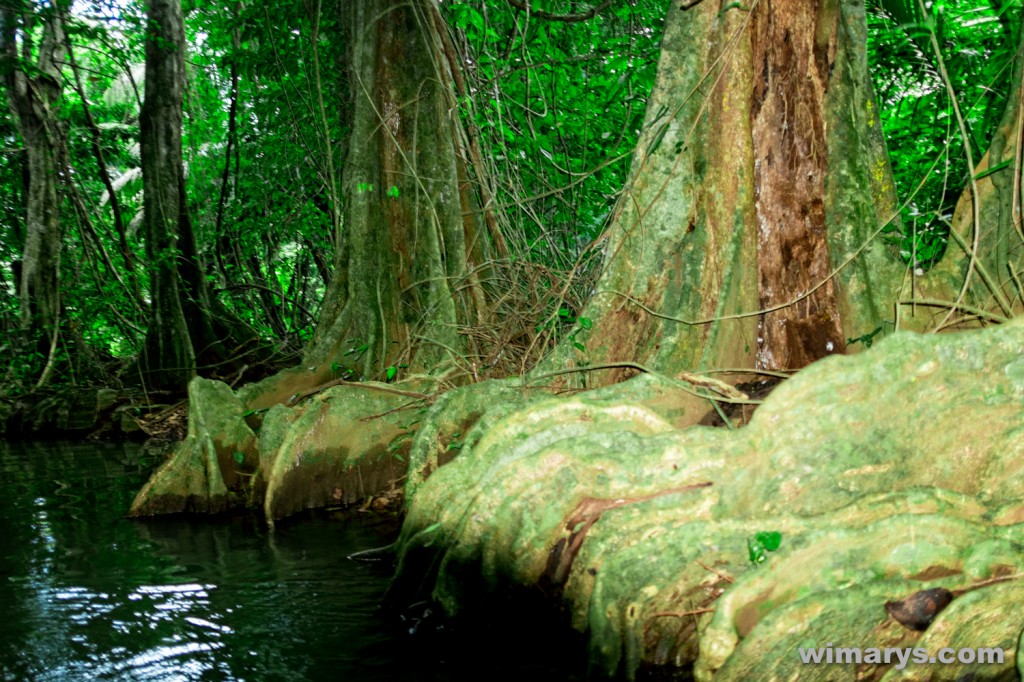 Fuji X100s in Dominica