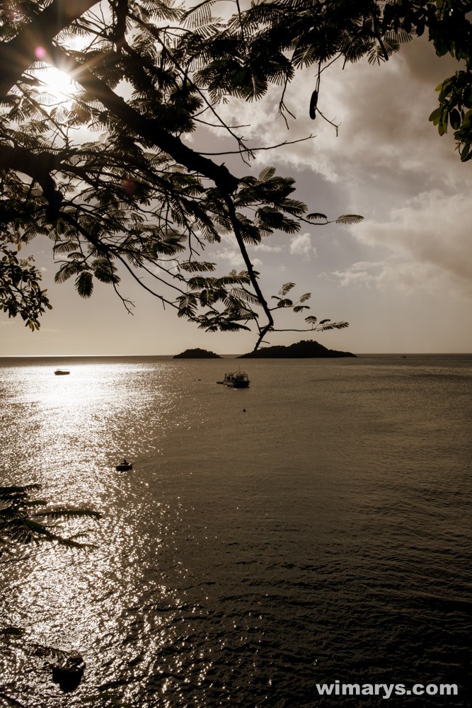 Fuji X100s in Dominica