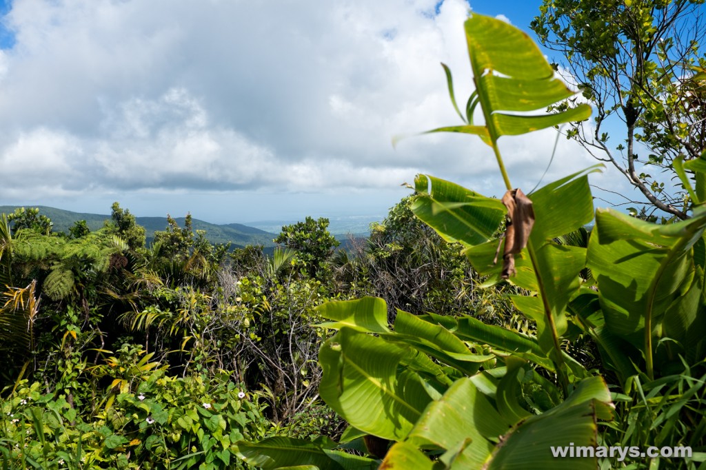 Fuji X100s in Dominica