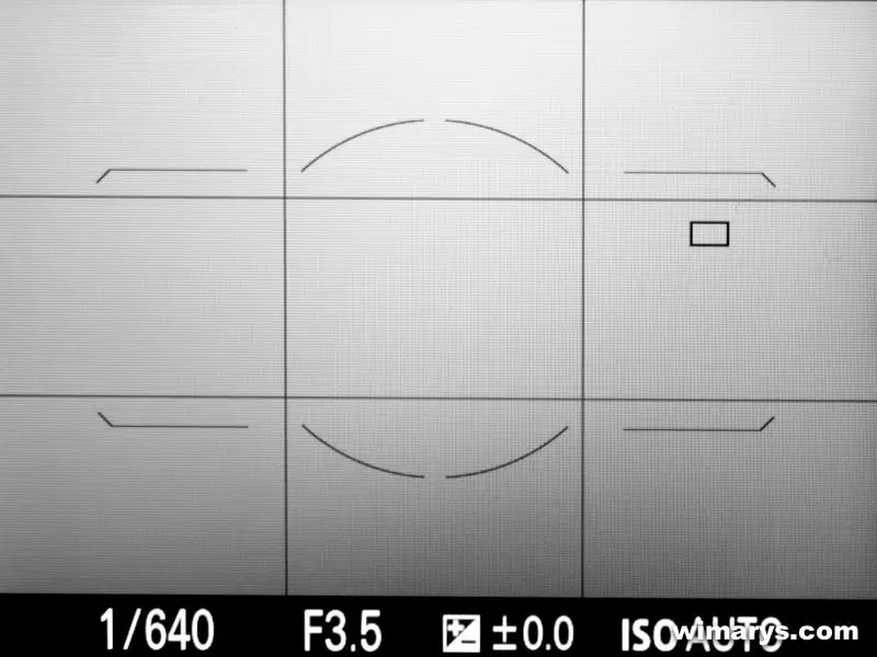 Sony A77II autofocus