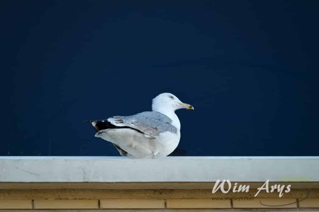 FUJINON XF100-400mmF4.5-5.6 R LM OIS WR sample image