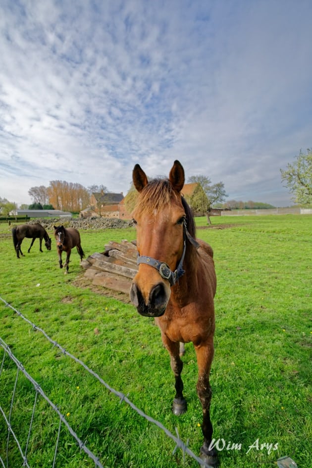 Voigtländer 15mm F4,5 Super Wide for E-Mount review