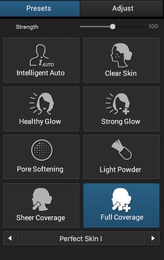 The Perfect Skin Presets tab