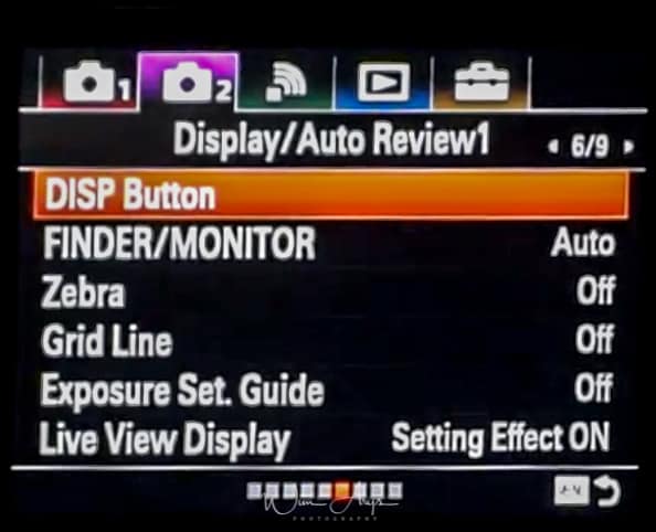 Sony ILCA-99RM2 purple camera icon page 6