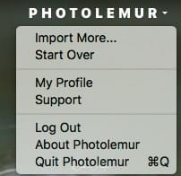 Photolemur 2 review