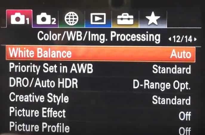 Sony A7RIII menu setup