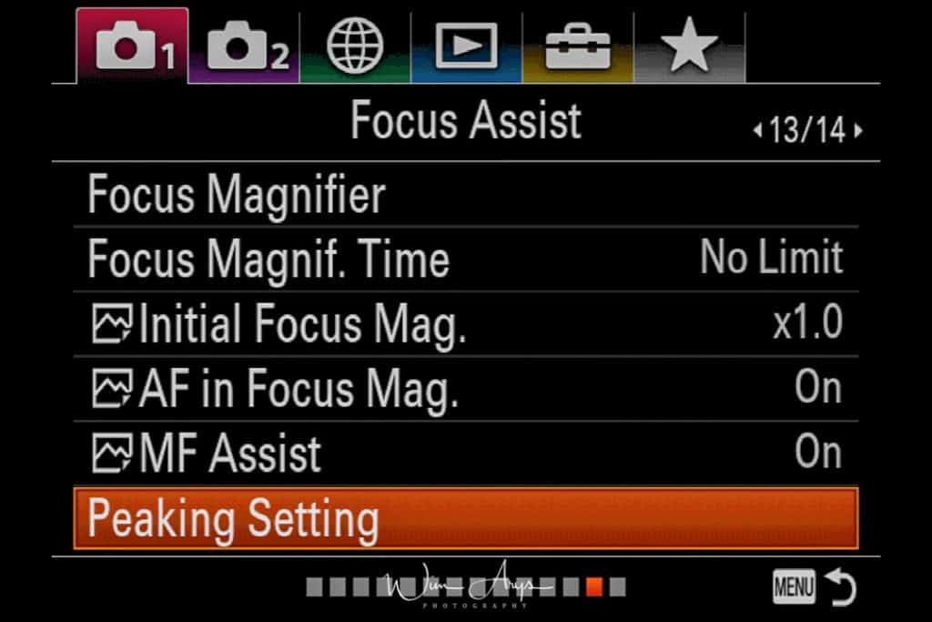 Focus magifier and focus peaking