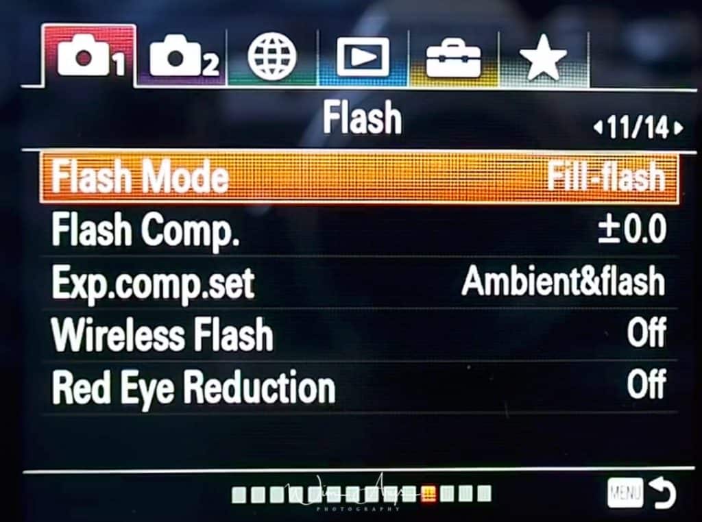 Flash Settings