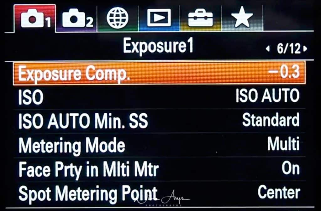 Sony RX100 Menu page 6