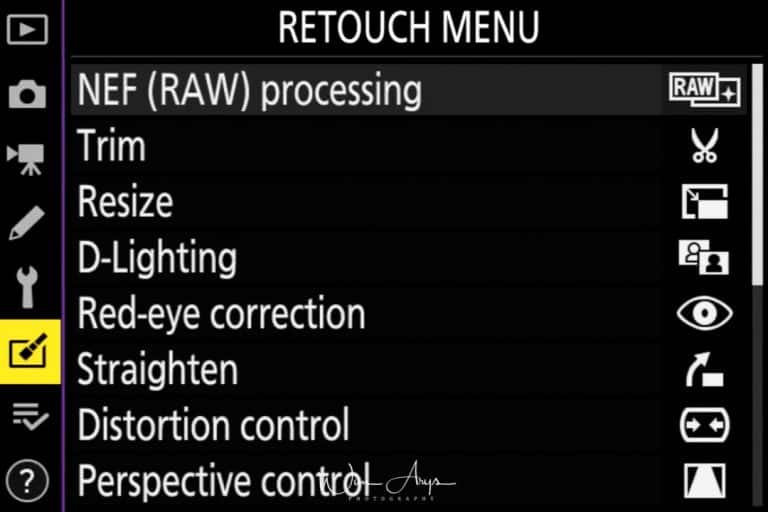 Nikon Z6 advanced manual