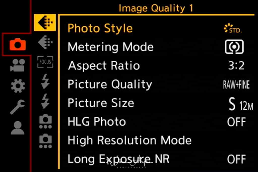 Panasonic S1R, photo settings, image quality, page 1