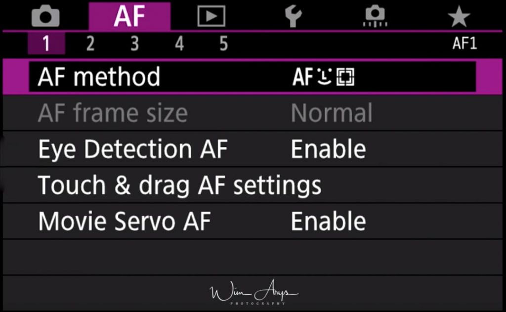 Canon EOS R firmware 1.2 Eye detect AF  