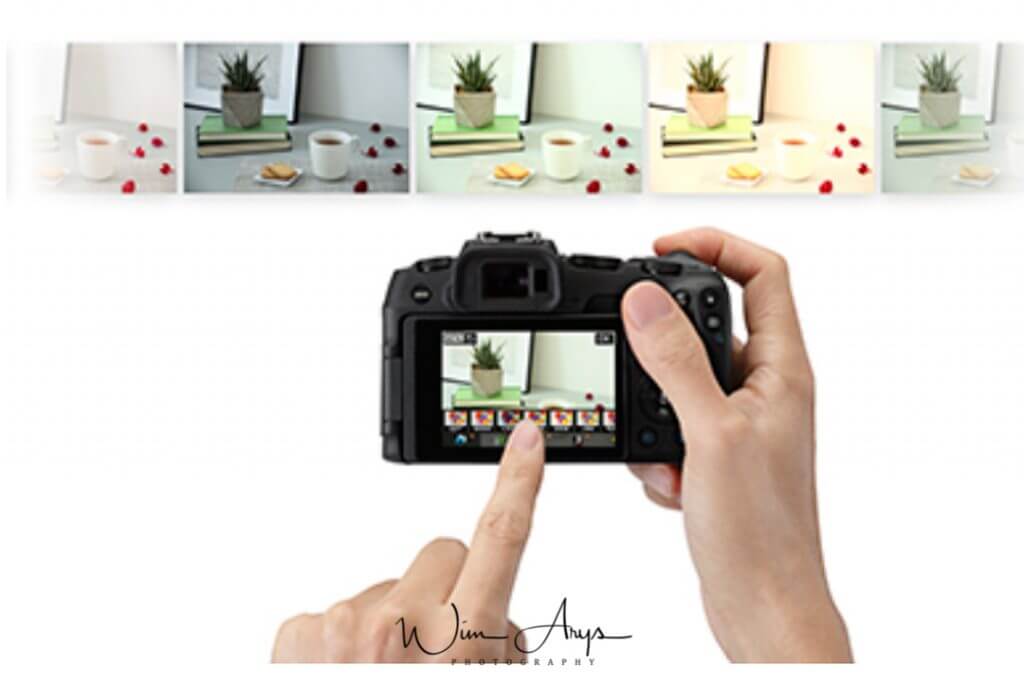 Canon EOS RP creative assist