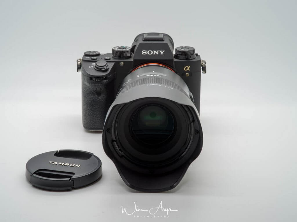 What does mirrorless camera mean