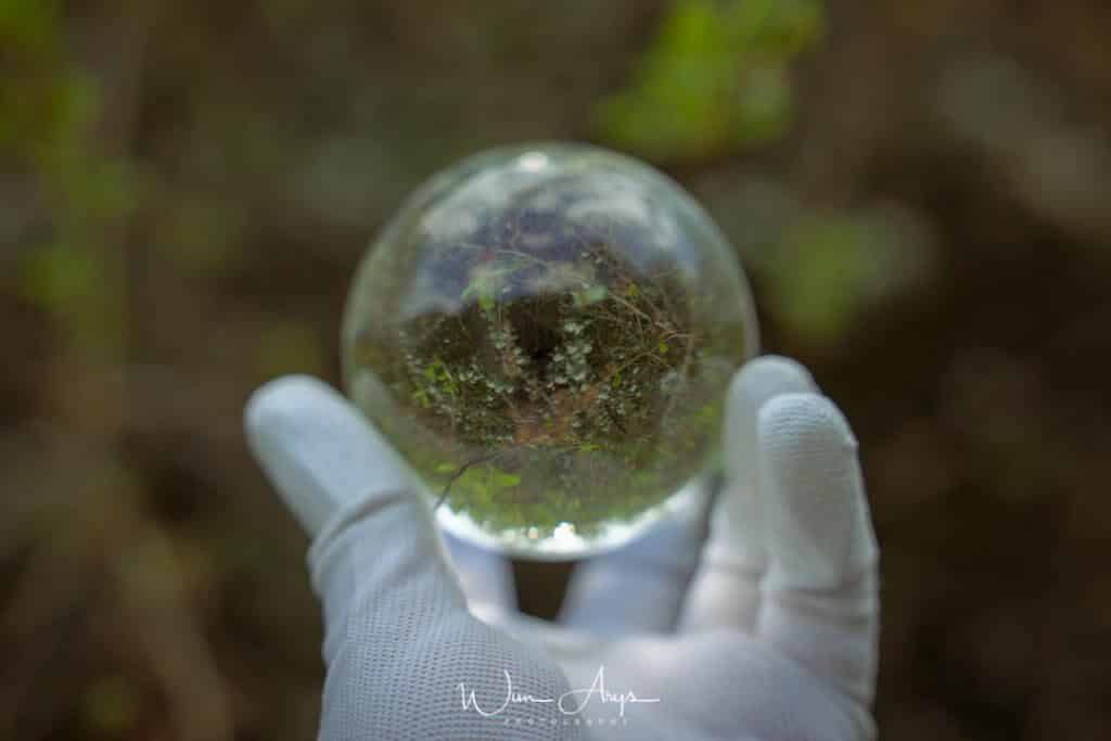 lensball photography example