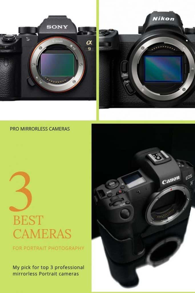 top 3 mirrorless portrait cameras