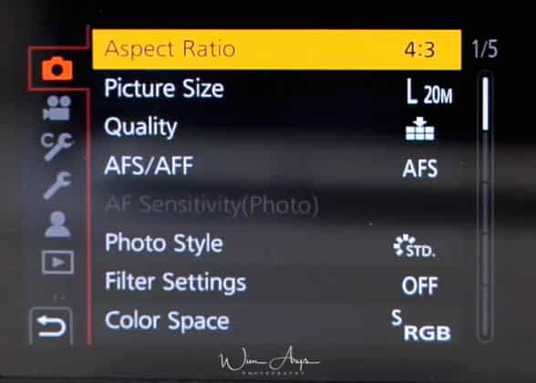 Panasonic G95-G90 menu camera icon page 1