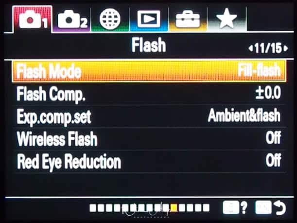 red camera icon page 10 Flash settings)