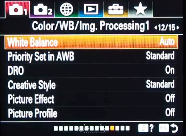 red camera icon page 12 : color, white balance and image processing settings 1