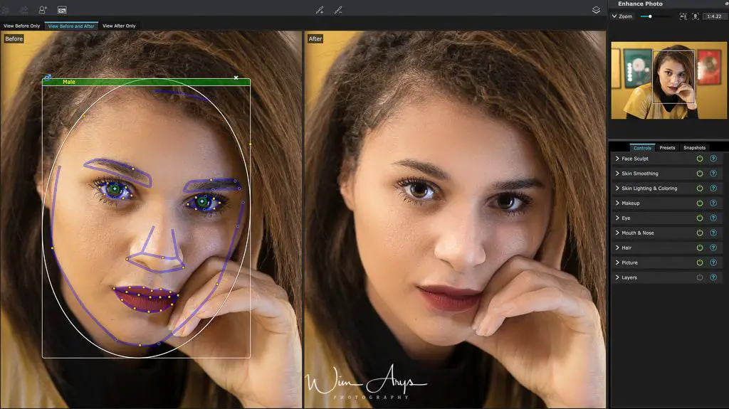 PortraitPro 2019 interface