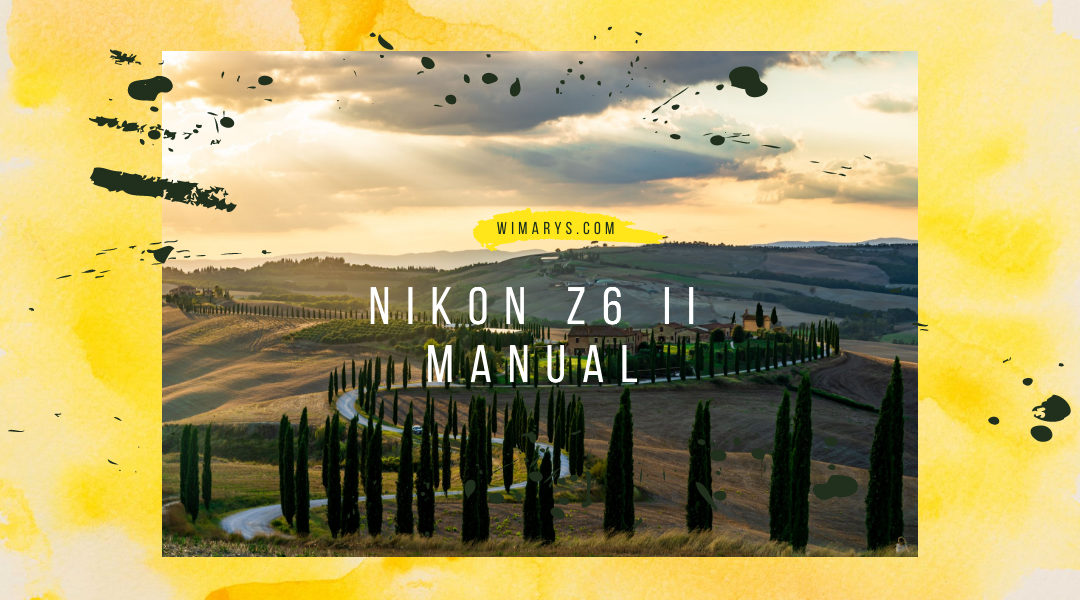 Nikon Z6 II Advanced manual