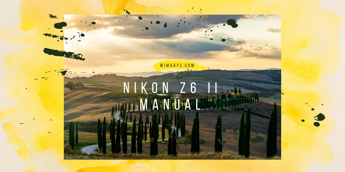 Nikon Z6 Ii Advanced Manual Nikon Z6 Ii Advanced Manual