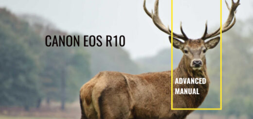 Canon EOS R10 advanced manual