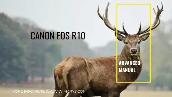 Canon EOS R10 advanced manual