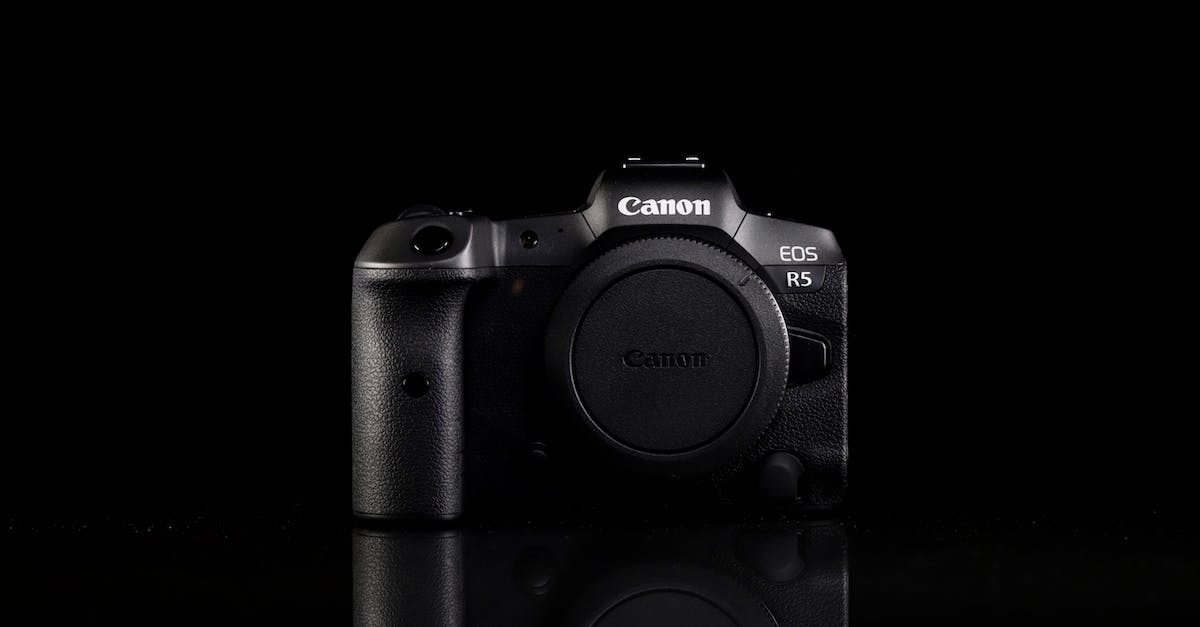 The Best Mirrorless Cameras for Beginners in 2023