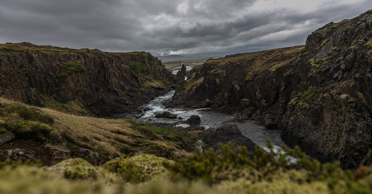 Landscape Photography for Beginners: How to Master the Basics