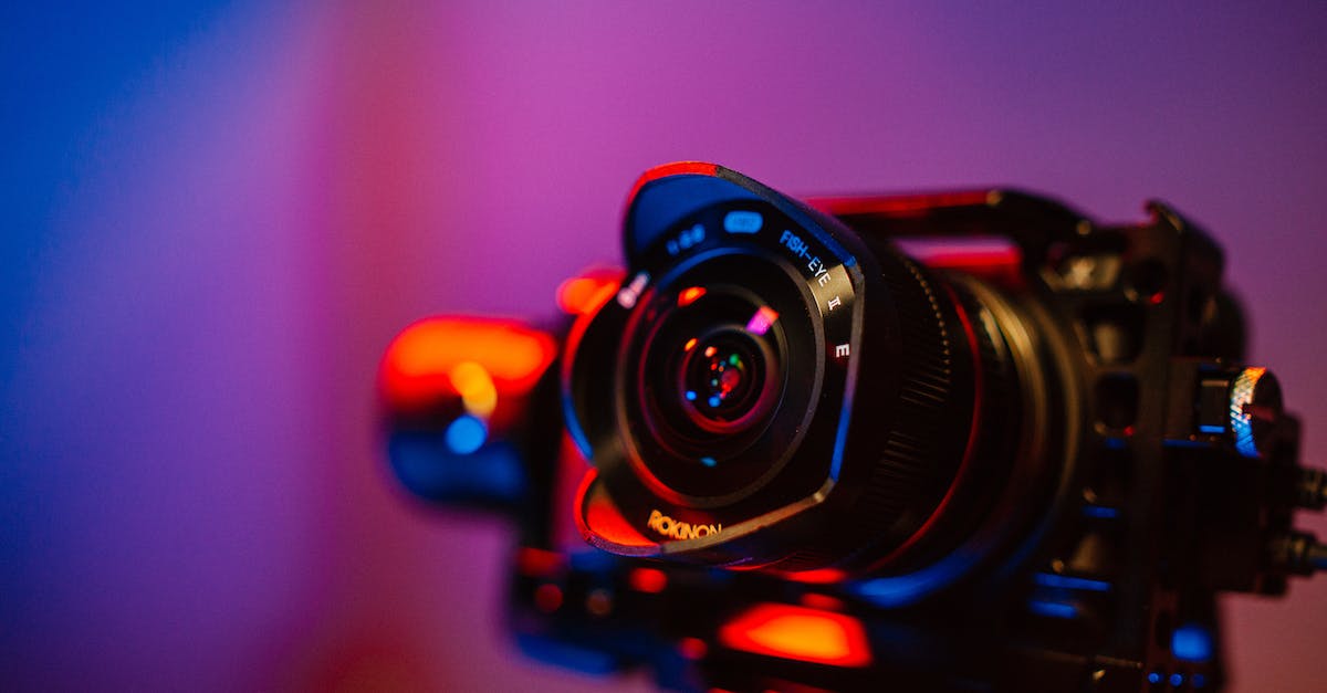 A Guide to the Best Mirrorless Cameras for Beginners