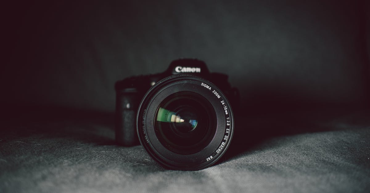 The Best Lightweight Digital Camera Options for Photographers on the Go