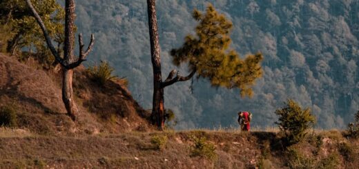 Old Woman Walking Near Trees