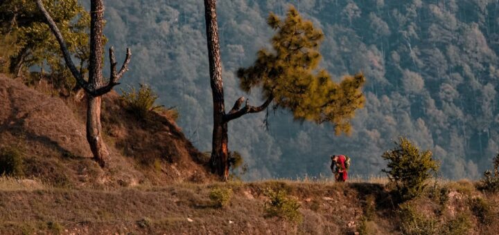 Old Woman Walking Near Trees
