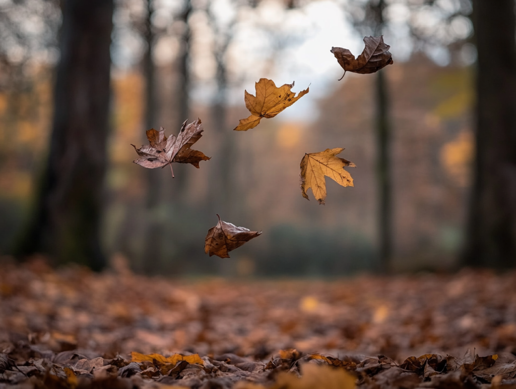 a crisp autumn scene in a forest with colorful leaves